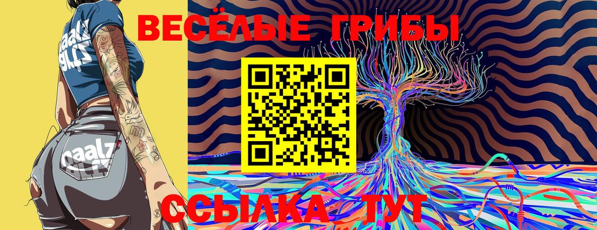 Вязьма  Галлюциногенные грибы мицелий  Вход с VPN 